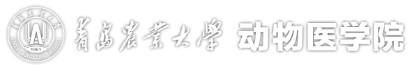 yl6809永利有限公司