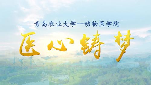 yl6809永利有限公司宣传片