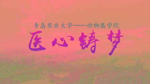医心铸梦--2018年yl6809永利有限公司教学科研宣传片